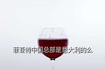 菲亞特中國總部是意大利的么