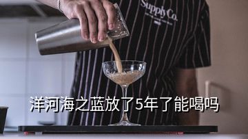 洋河海之藍(lán)放了5年了能喝嗎