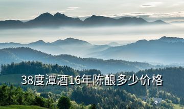 38度潭酒16年陳釀多少價(jià)格