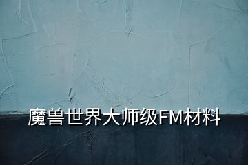 魔獸世界大師級FM材料