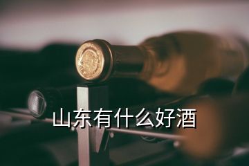 山東有什么好酒