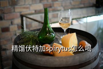 精餾伏特加spirytus怎么喝