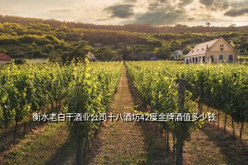 衡水老白干酒業(yè)公司十八酒坊42度金牌酒值多少錢