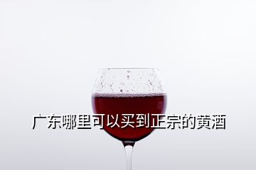 廣東哪里可以買到正宗的黃酒