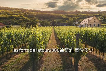 les forts de latour2006葡萄酒 市價(jià)多少