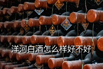 洋河白酒怎么樣好不好