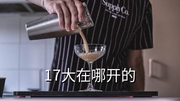 17大在哪開的