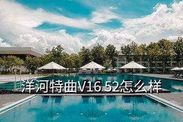 洋河特曲V16 52怎么樣