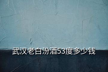 武漢老白汾酒53度多少錢