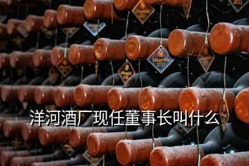 洋河酒廠現(xiàn)任董事長(zhǎng)叫什么