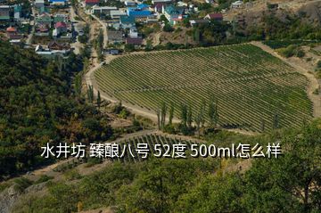 水井坊 臻釀八號 52度 500ml怎么樣