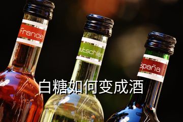 白糖如何變成酒