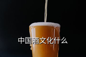 中國酒文化什么