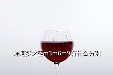 洋河夢之藍m3m6m9有什么分別