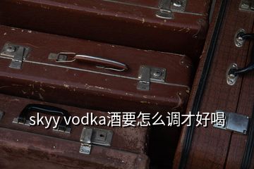 skyy vodka酒要怎么調(diào)才好喝