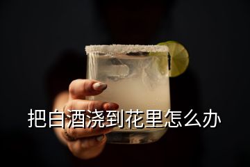 把白酒澆到花里怎么辦