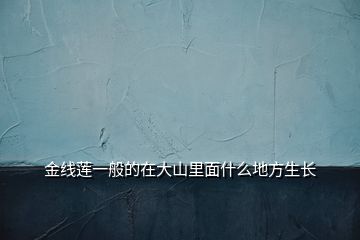 金線蓮一般的在大山里面什么地方生長