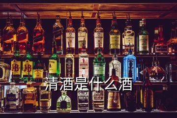 清酒是什么酒