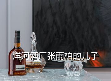 洋河酒廠張雨柏的兒子