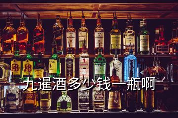 九暹酒多少錢一瓶啊