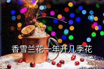 香雪蘭花一年開幾季花