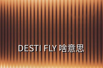 DESTI FLY 啥意思