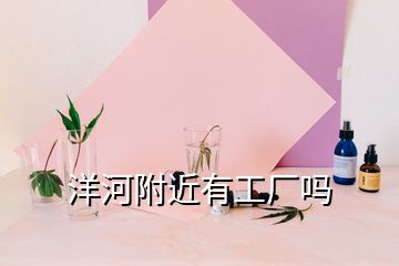 洋河附近有工廠嗎