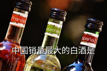 中國銷量最大的白酒是