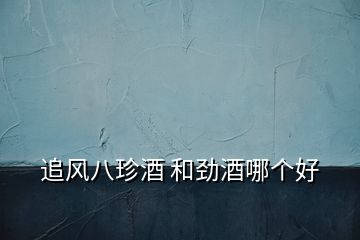 追風(fēng)八珍酒 和勁酒哪個好