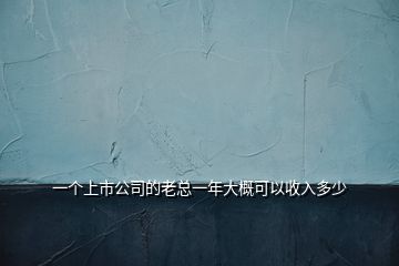 一個上市公司的老總一年大概可以收入多少