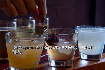 喝96度 Spirytus Vodka生命之水波蘭伏特加是一種什么樣的體驗(yàn)