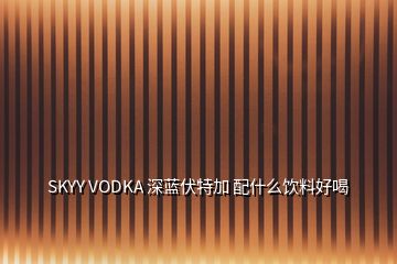 SKYY VODKA 深藍伏特加 配什么飲料好喝