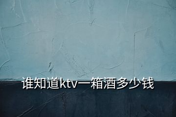 誰(shuí)知道ktv一箱酒多少錢(qián)