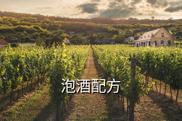 泡酒配方