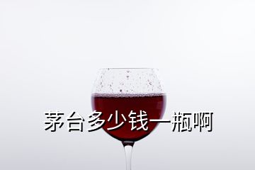 茅臺多少錢一瓶啊