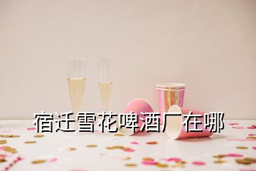 宿遷雪花啤酒廠在哪