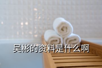 吳彬的資料是什么啊