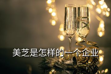 美芝是怎樣的一個企業(yè)