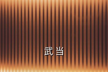 武 當(dāng)