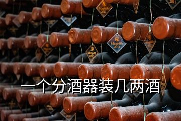 一個(gè)分酒器裝幾兩酒