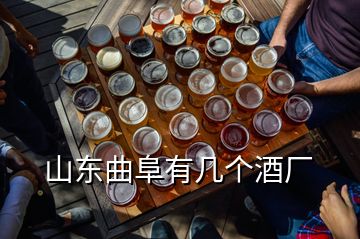 山東曲阜有幾個酒廠