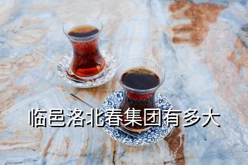 臨邑洛北春集團(tuán)有多大