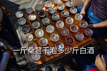 一斤桑葚干泡多少斤白酒