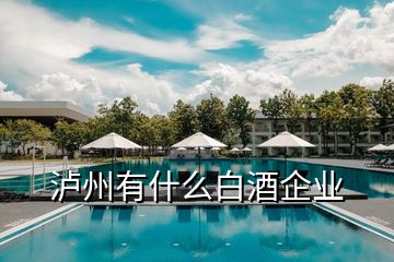 瀘州有什么白酒企業(yè)