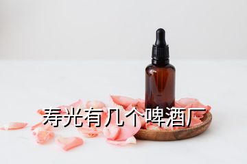 壽光有幾個(gè)啤酒廠