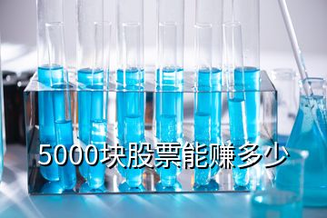 5000塊股票能賺多少