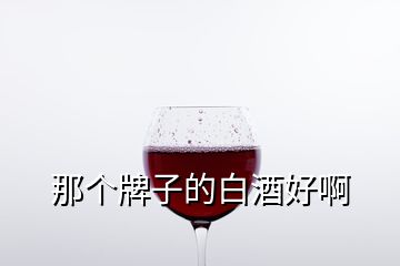 那個牌子的白酒好啊