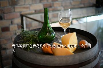 青島啤酒廠在青島幾個廠分別在什么地方哪一個廠招人