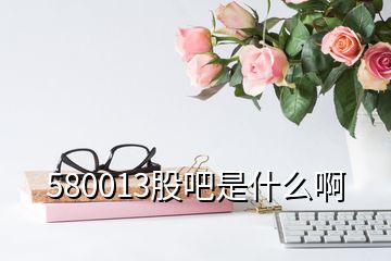 580013股吧是什么啊