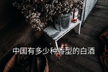 中國有多少種香型的白酒